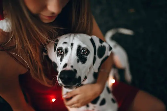 犬が足の裏ばかり舐めるときに考えるべきアレルギーの種類とは