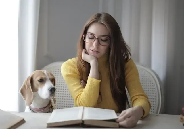 愛犬が背後を過剰に気にするようになったときの痛み信号とは?