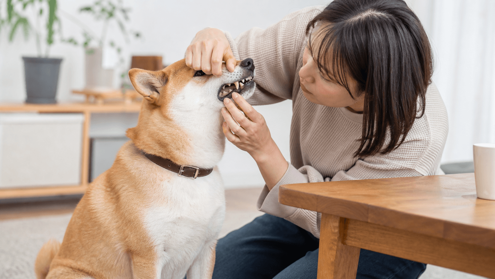 犬のよだれがネバネバする時に見るべき口と全身のサイン
