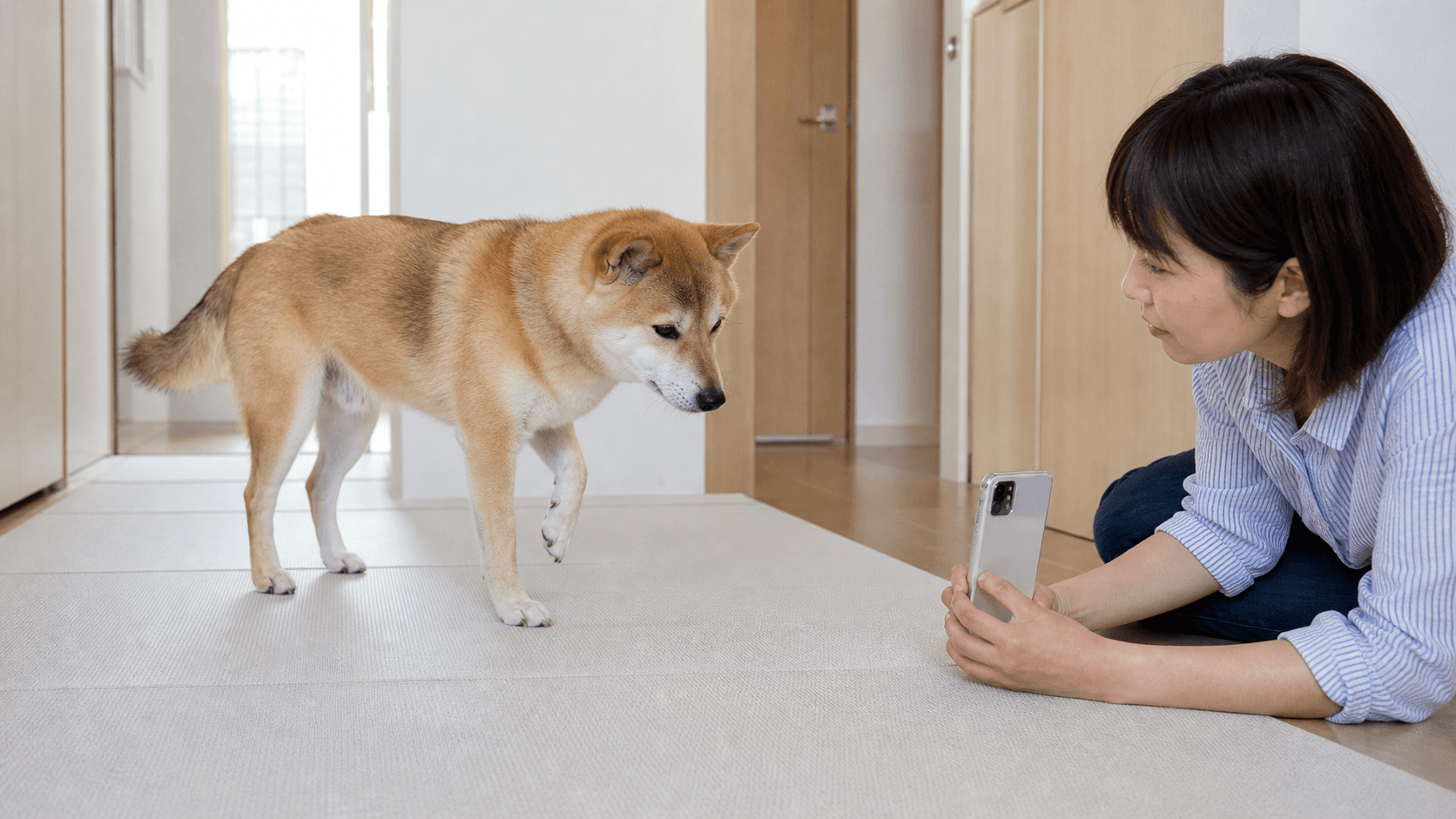犬が左前足を痛がる時に見る肉球・爪・関節と受診の目安