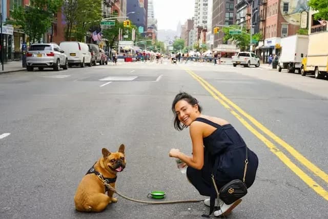 犬が歩きながら突然止まり硬直するようになったときの観察ポイント