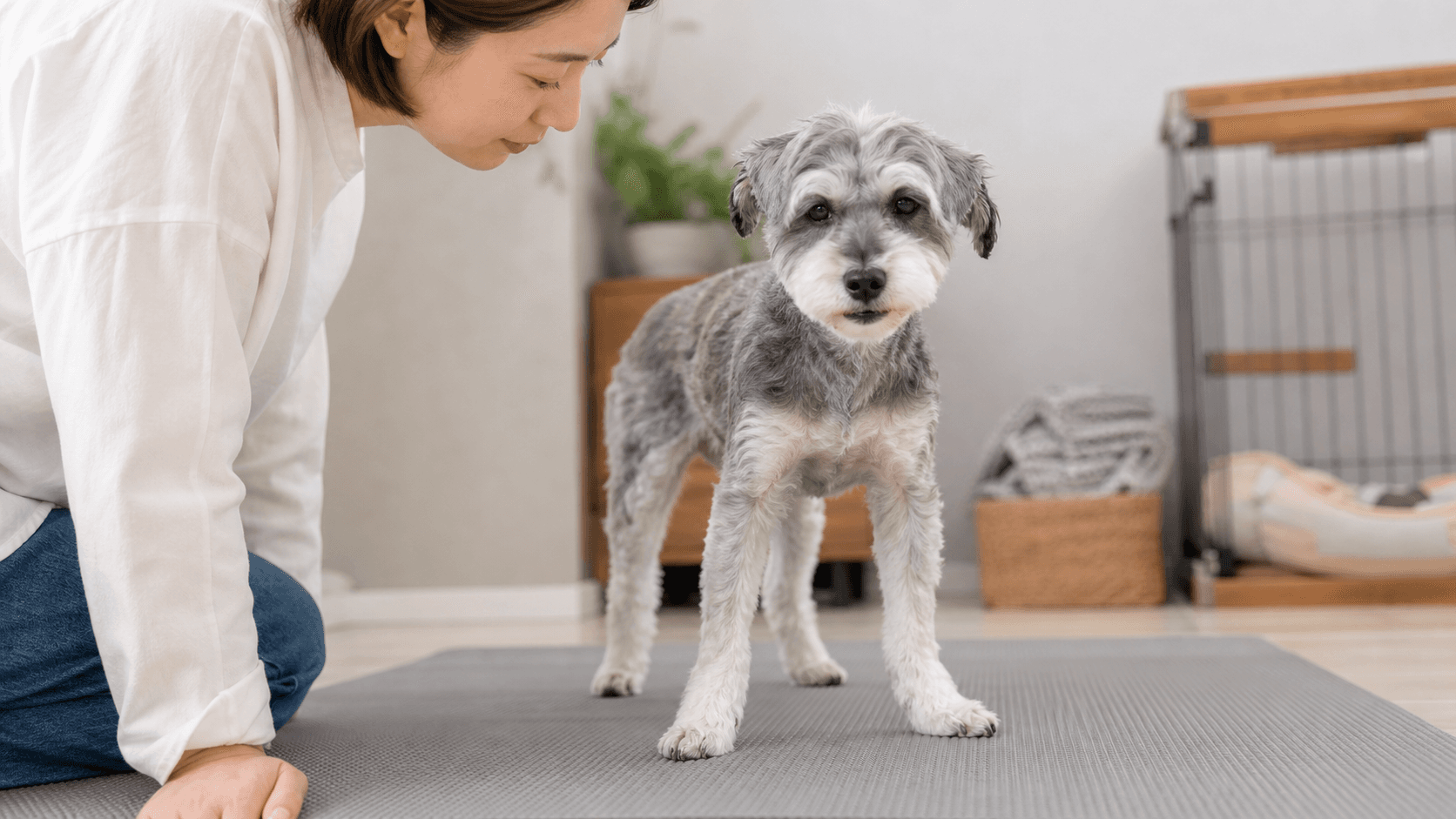 犬の前足ががに股に見える時の観察ポイント